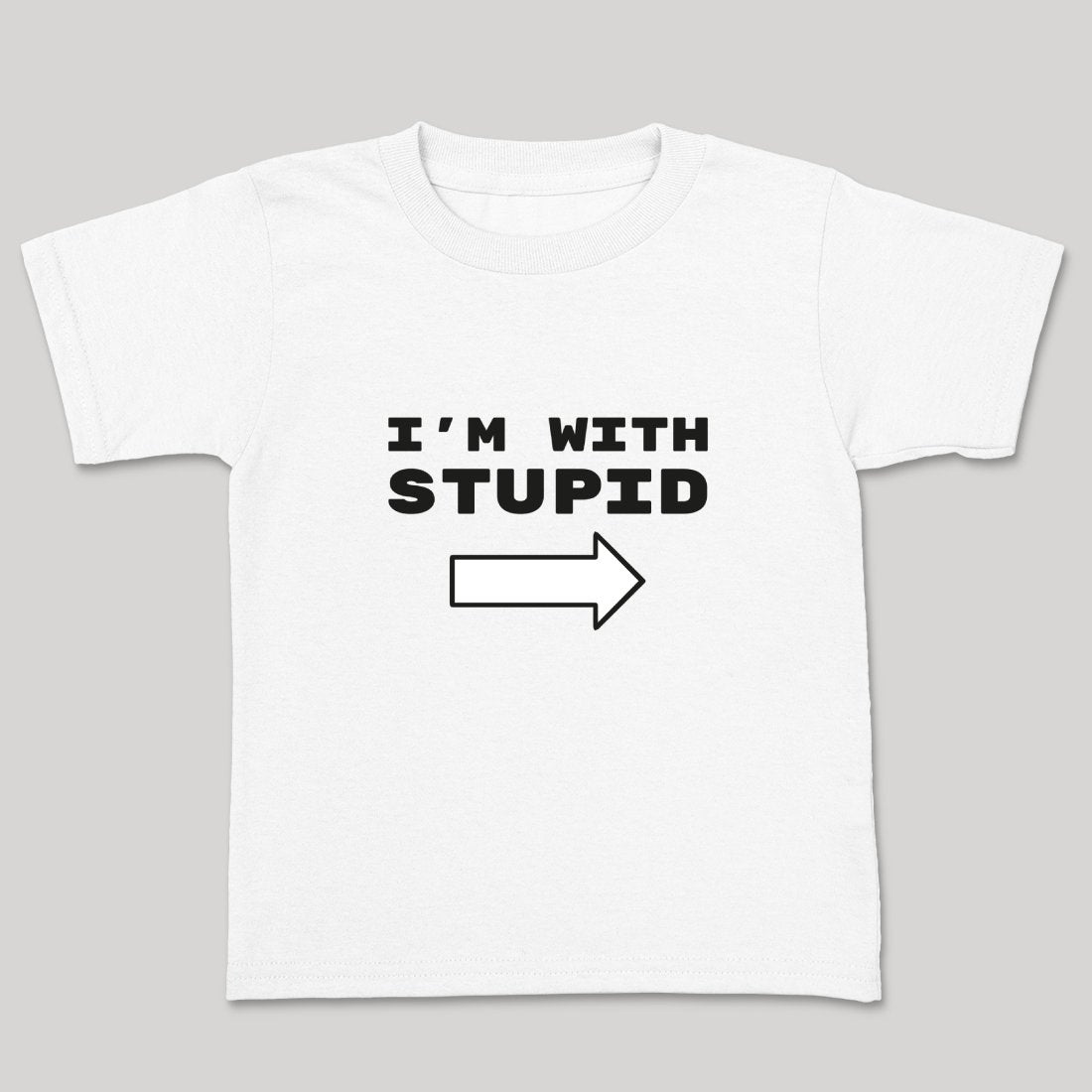 Stupid's Companion