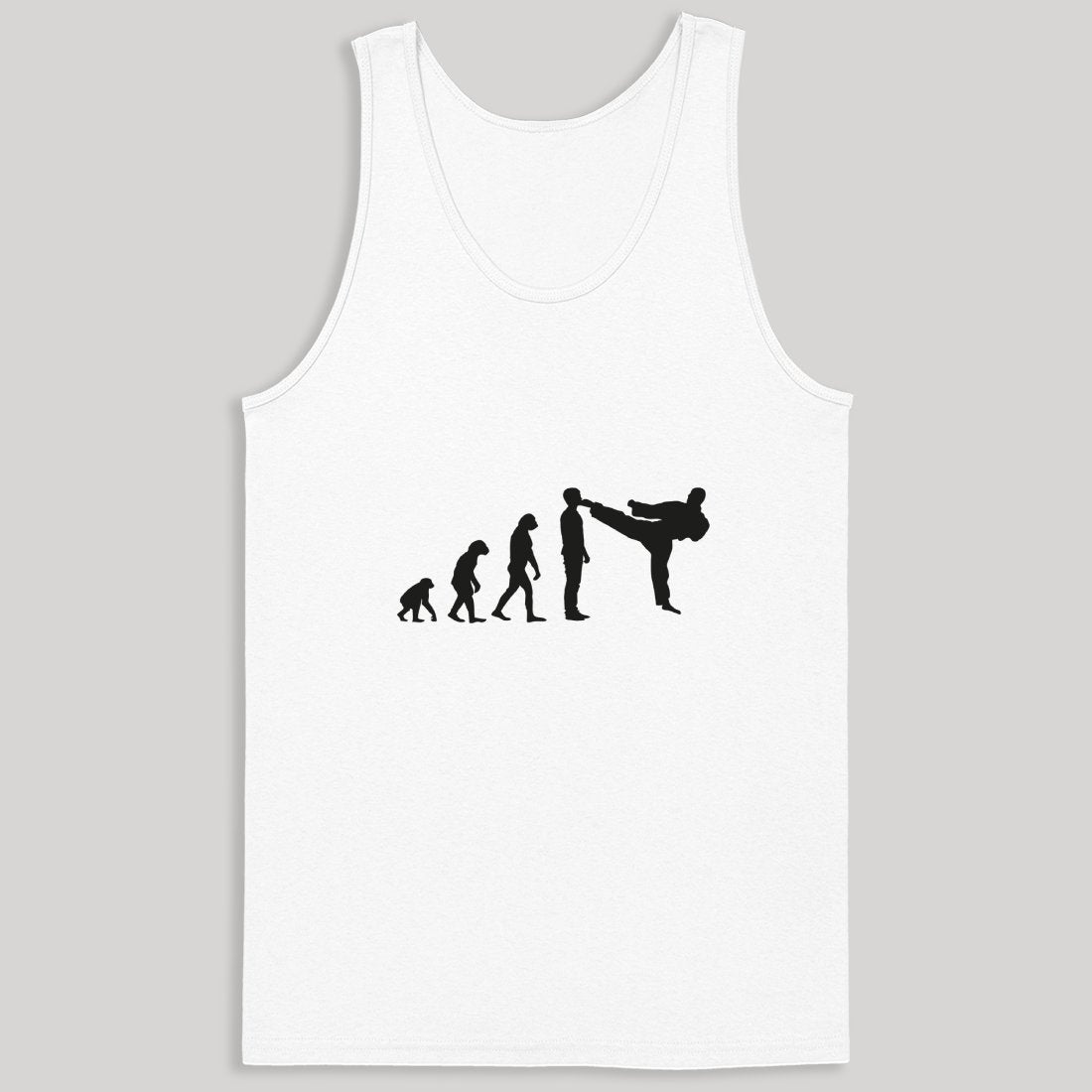 Evolution Karate