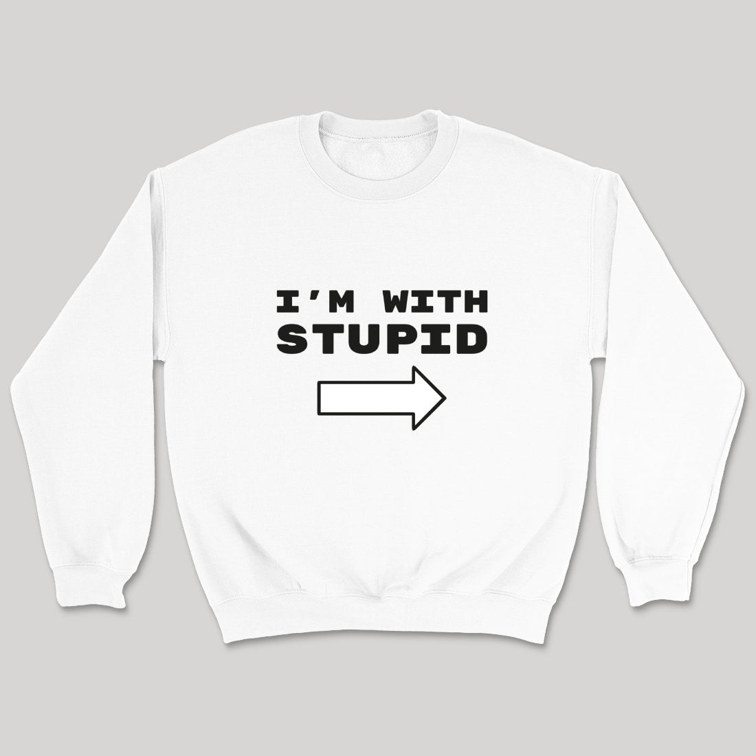 Stupid's Companion