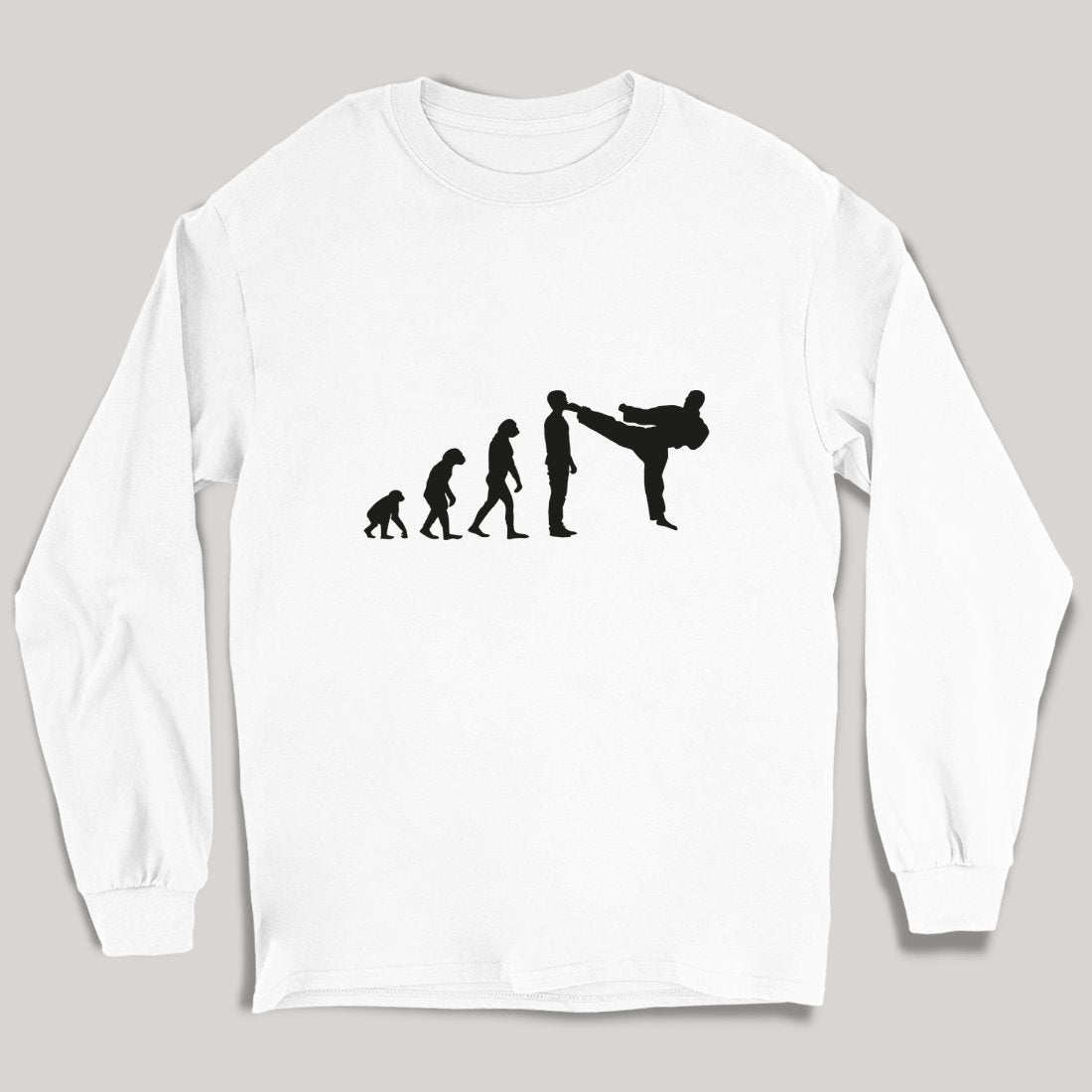Evolution Karate