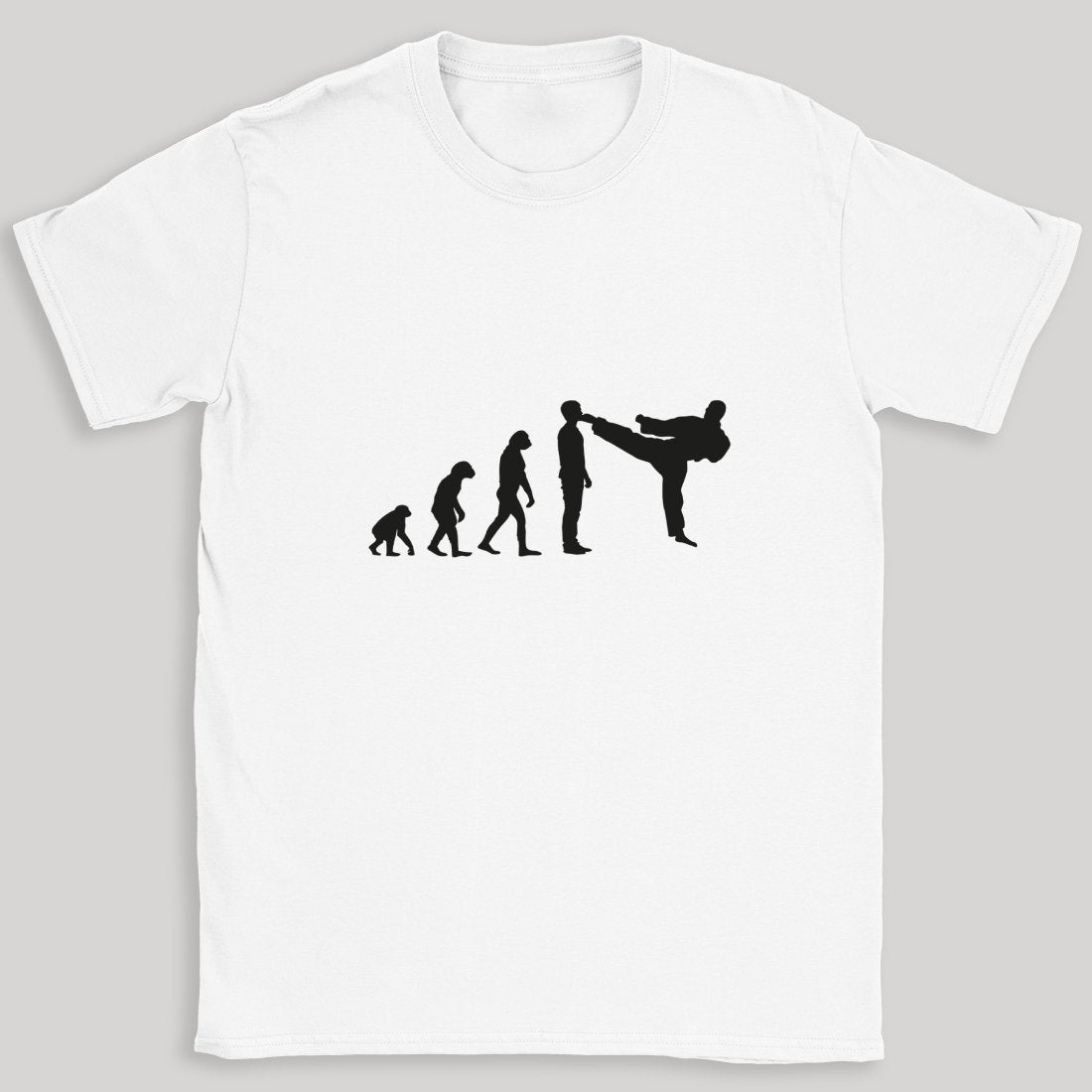 Evolution Karate