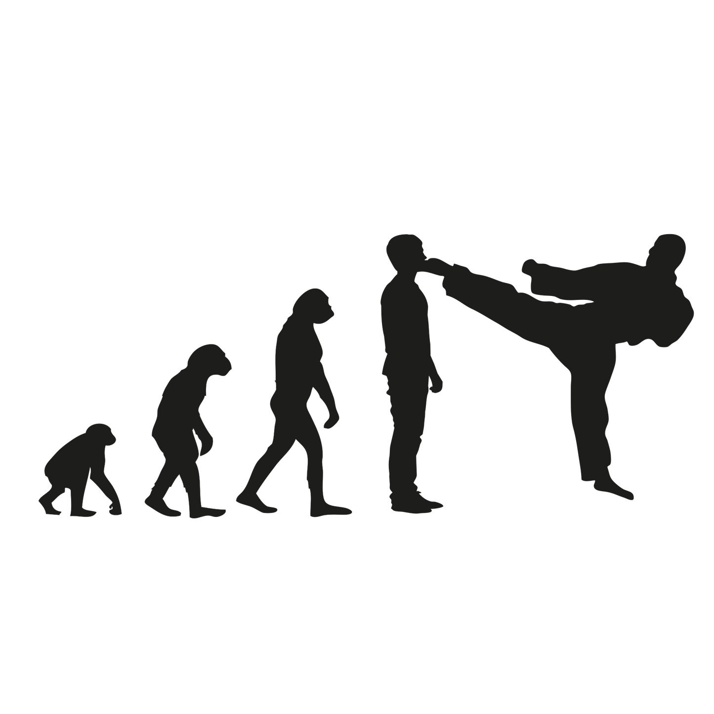 Evolution Karate