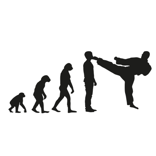 Evolution Karate