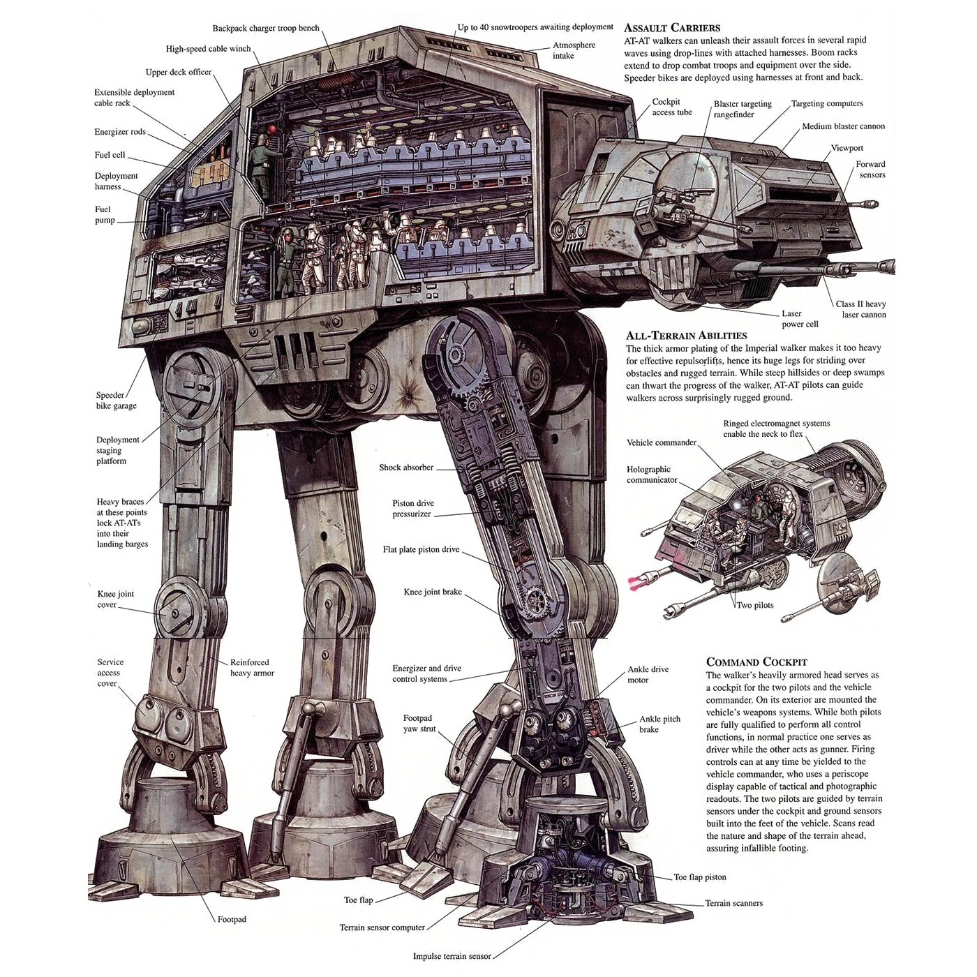 Walker Schematic