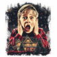 Home Alone Hero