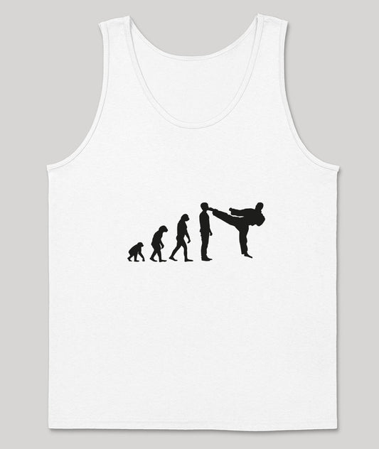 Evolution Karate