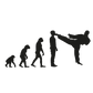 Evolution Karate